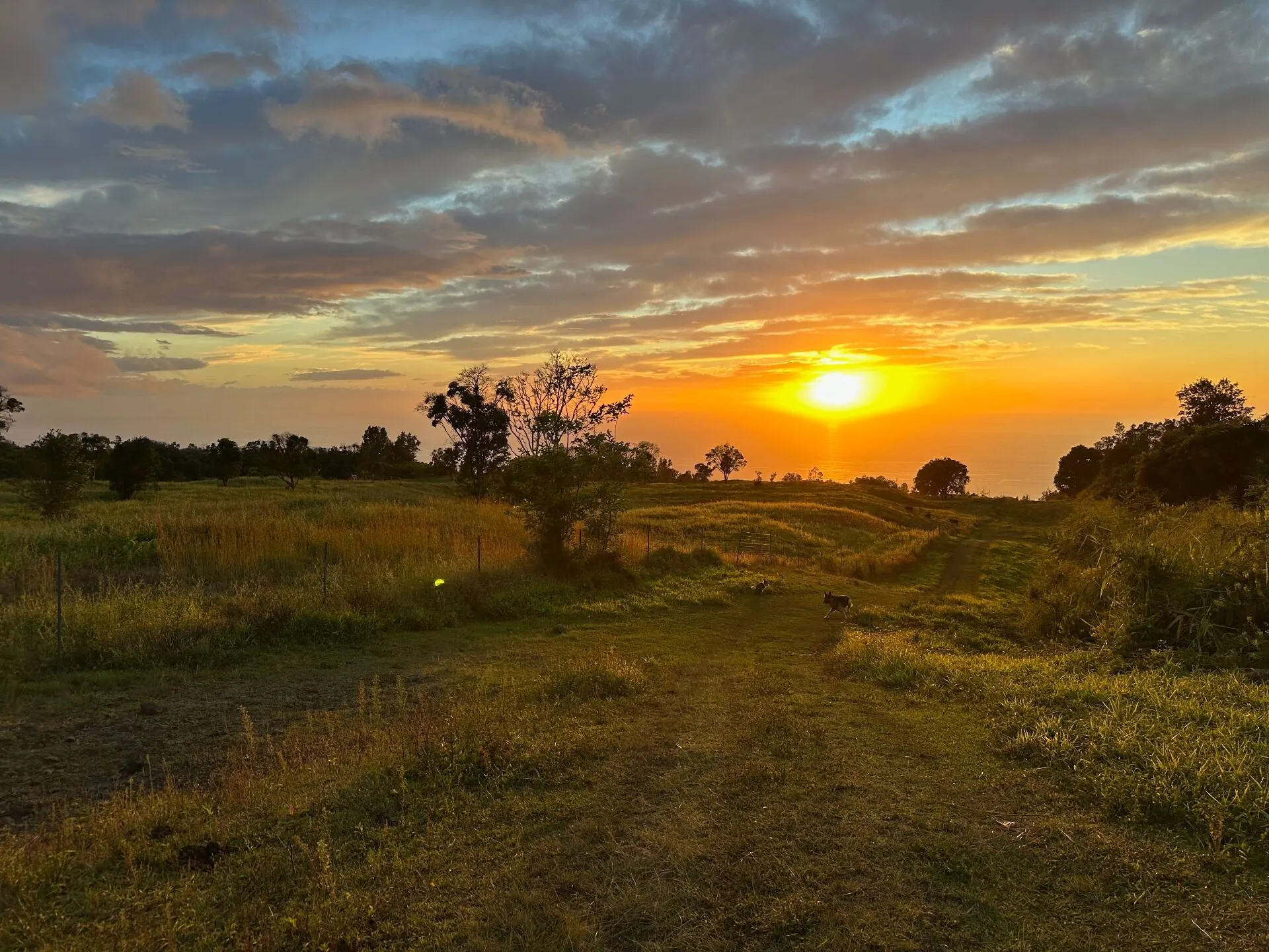 Hawaiian ranch lands at golden hour